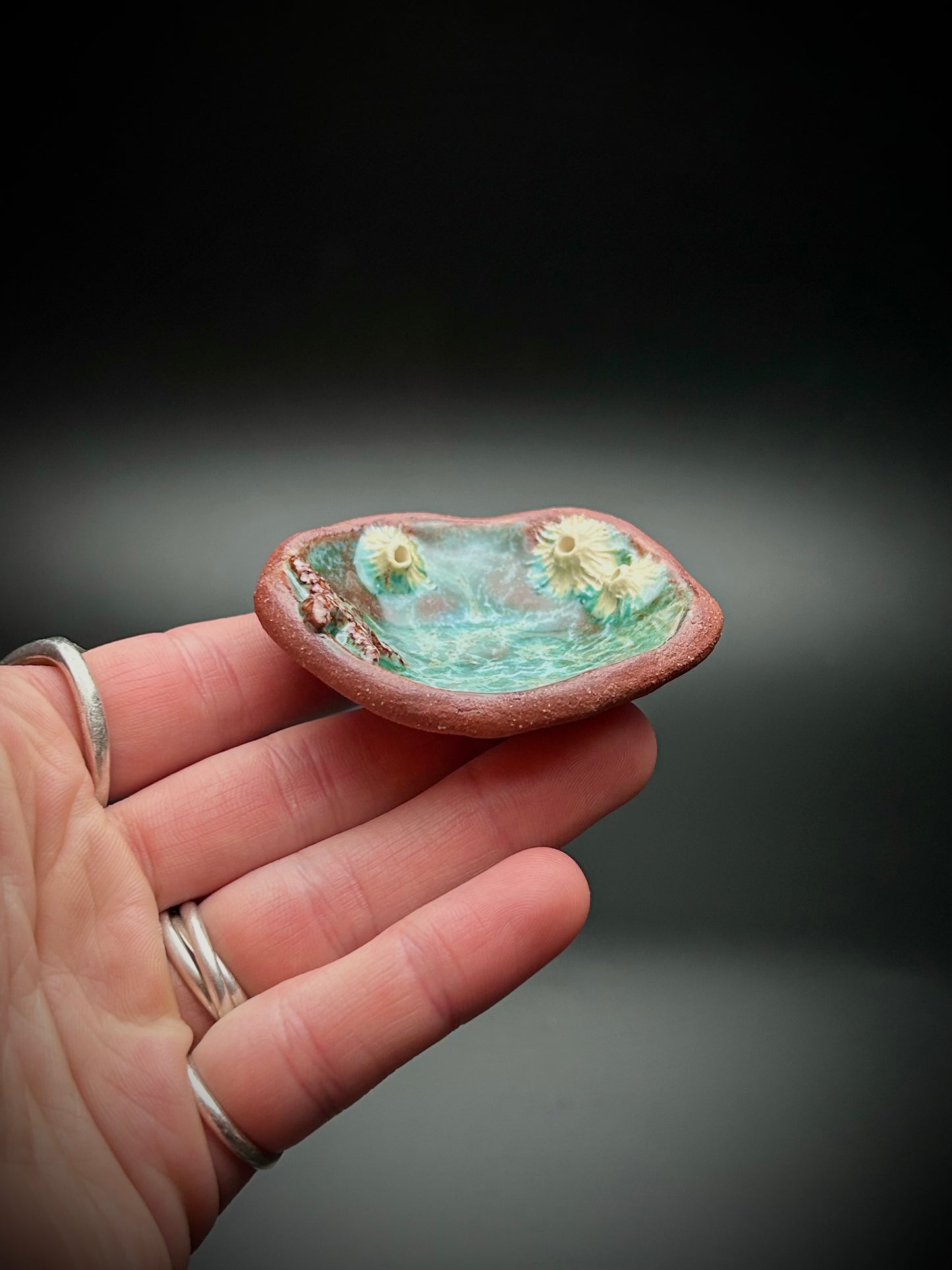 tide pool trinket dish