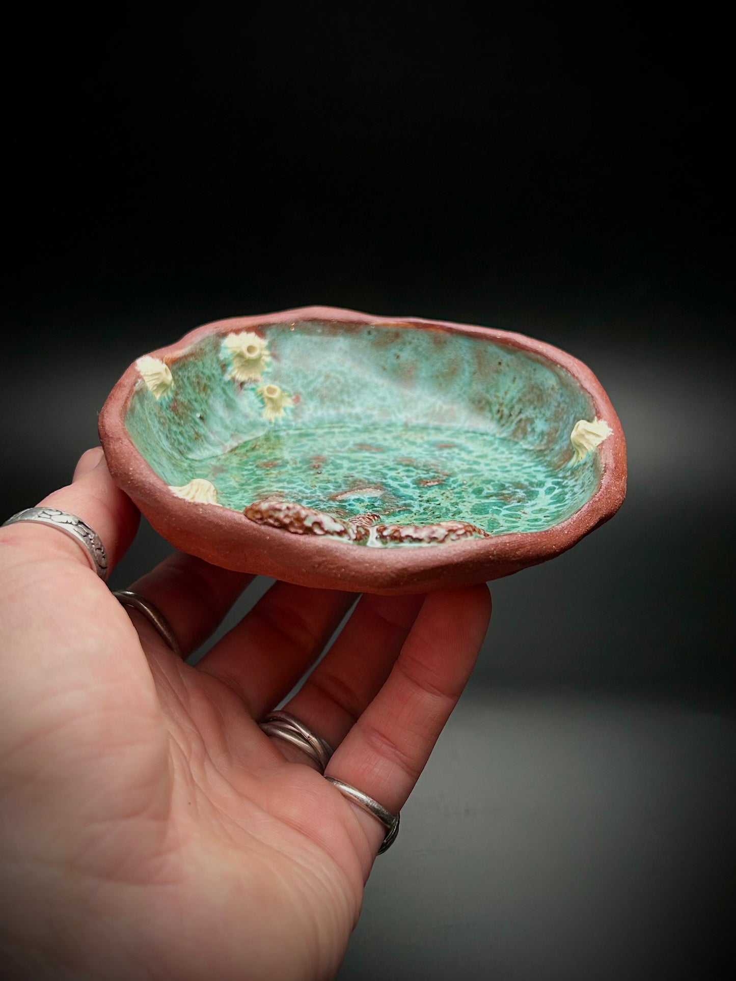 tide pool spoon rest