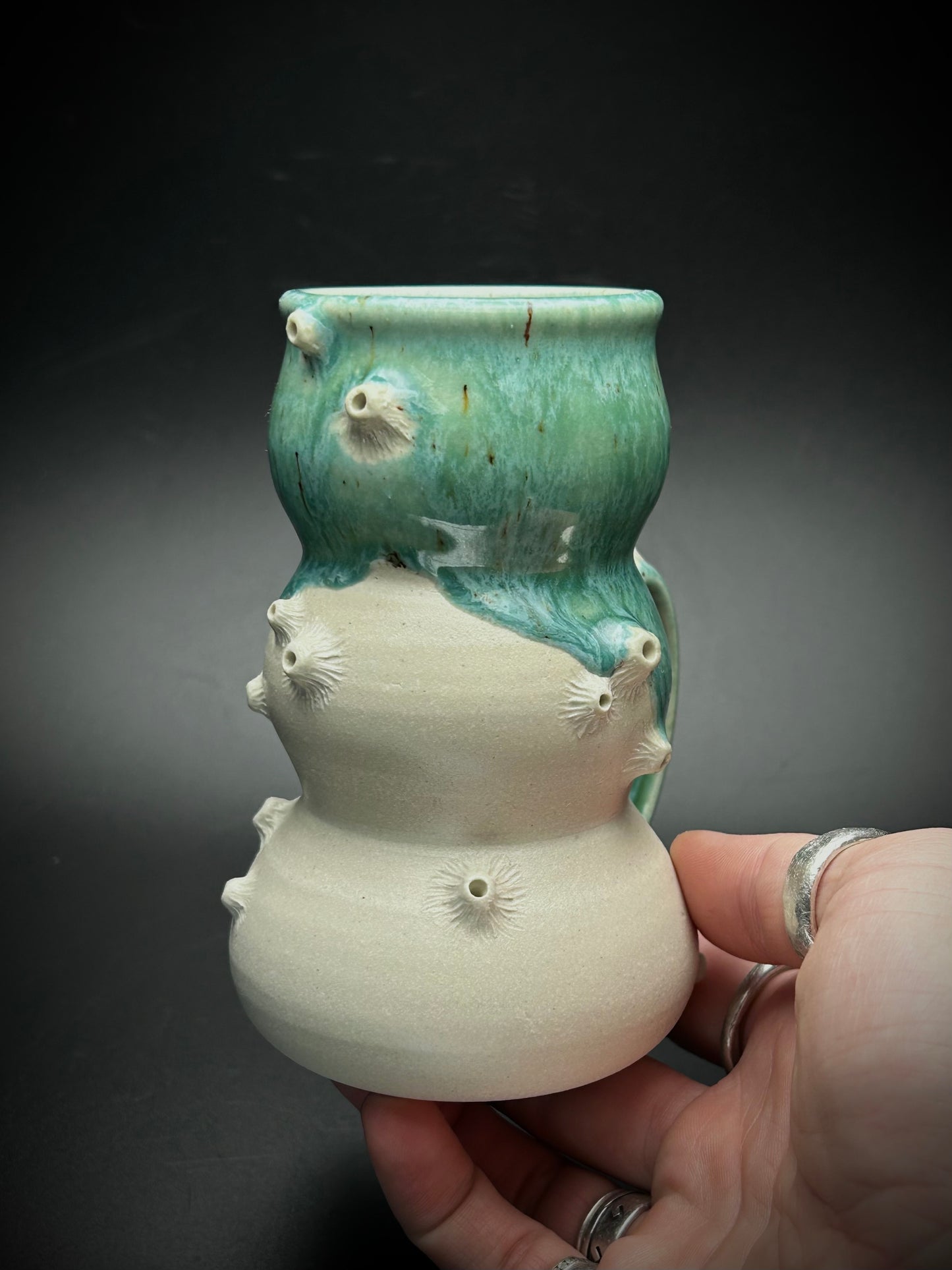 bulbous barnacle mug- the shallows