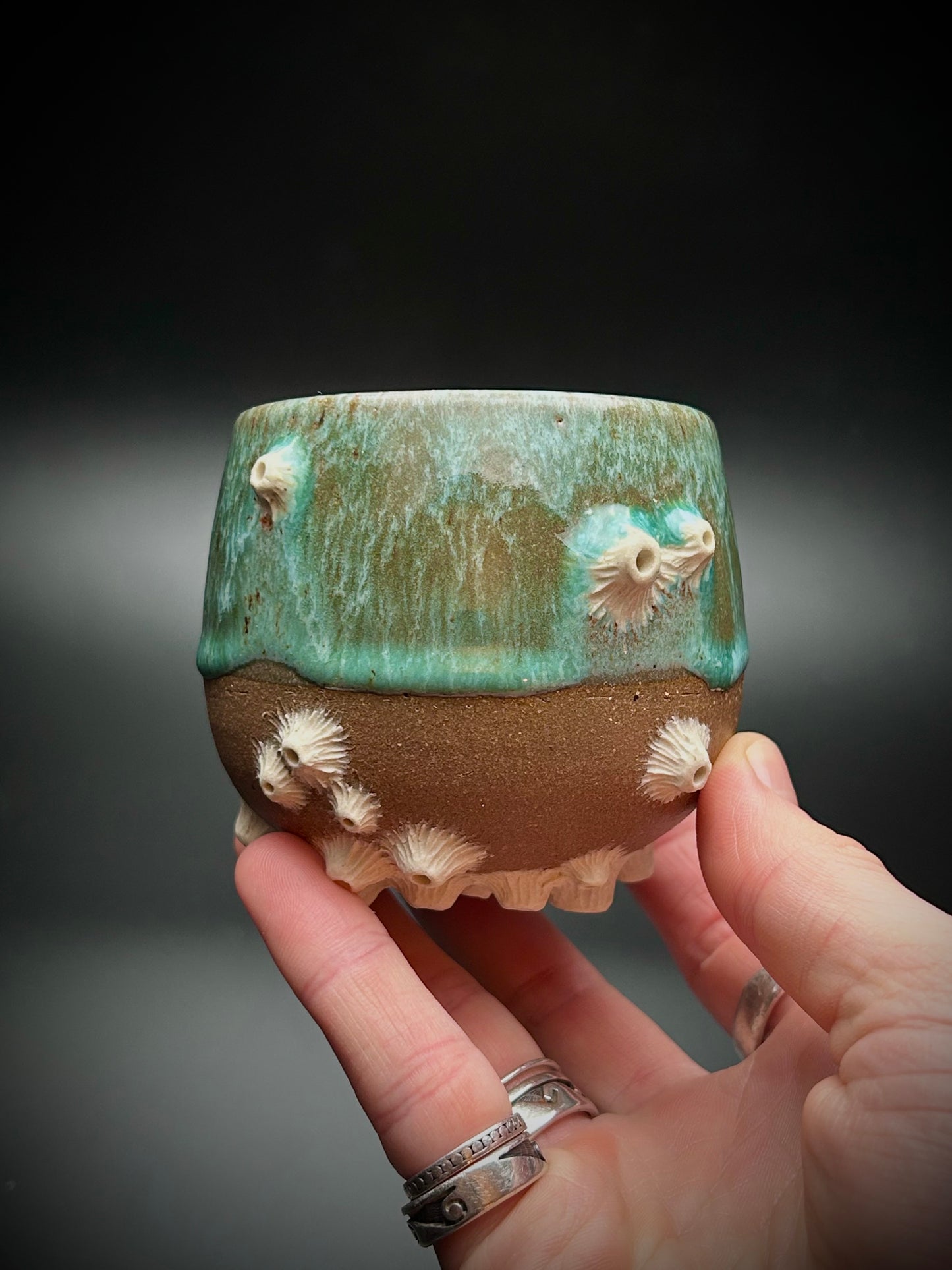 barnacle whiskey cup #5