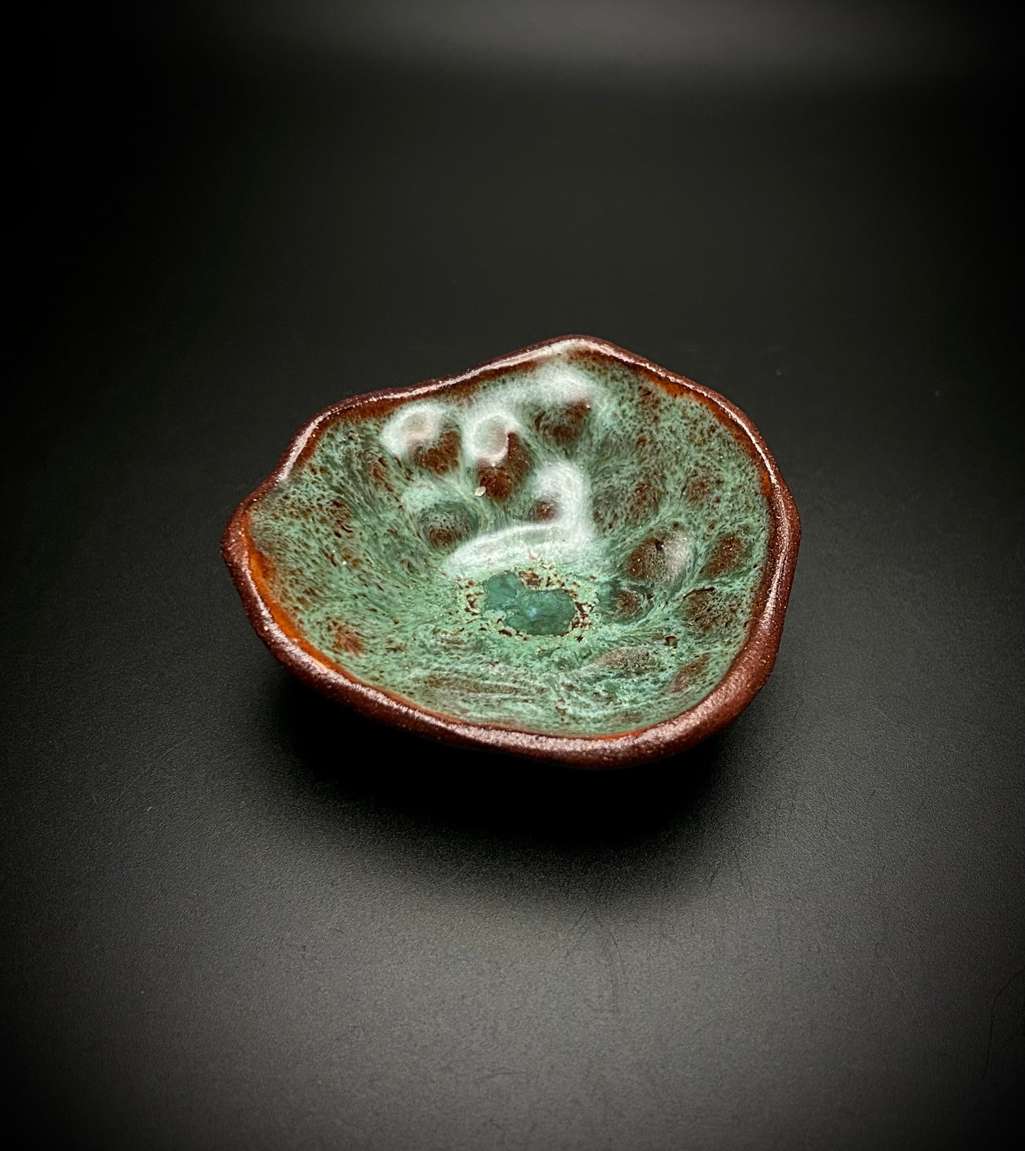 fossil dish #4