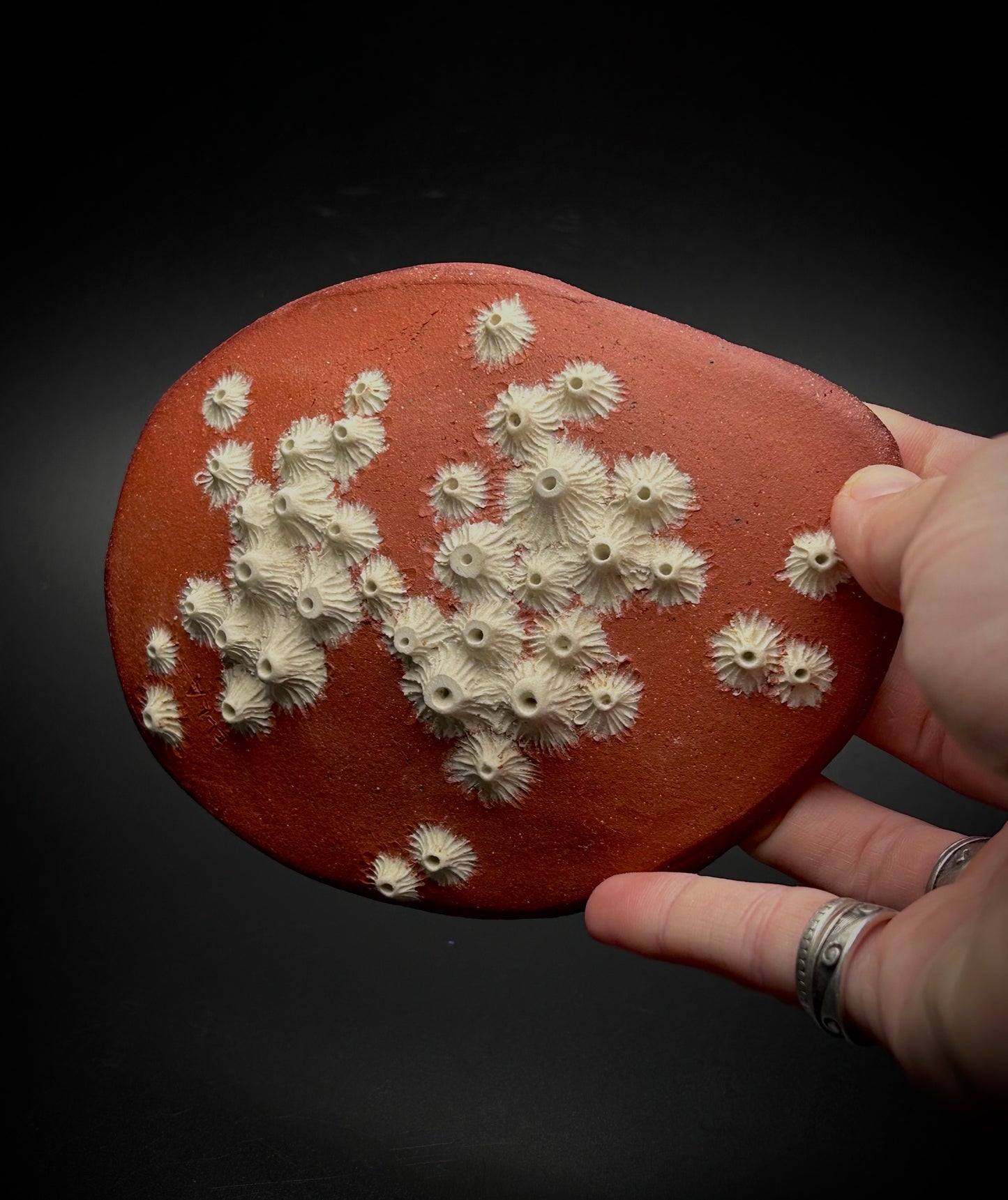 tidal mini plate