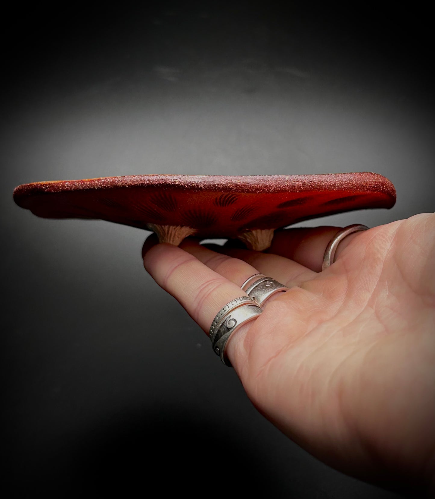 puddle mini plate