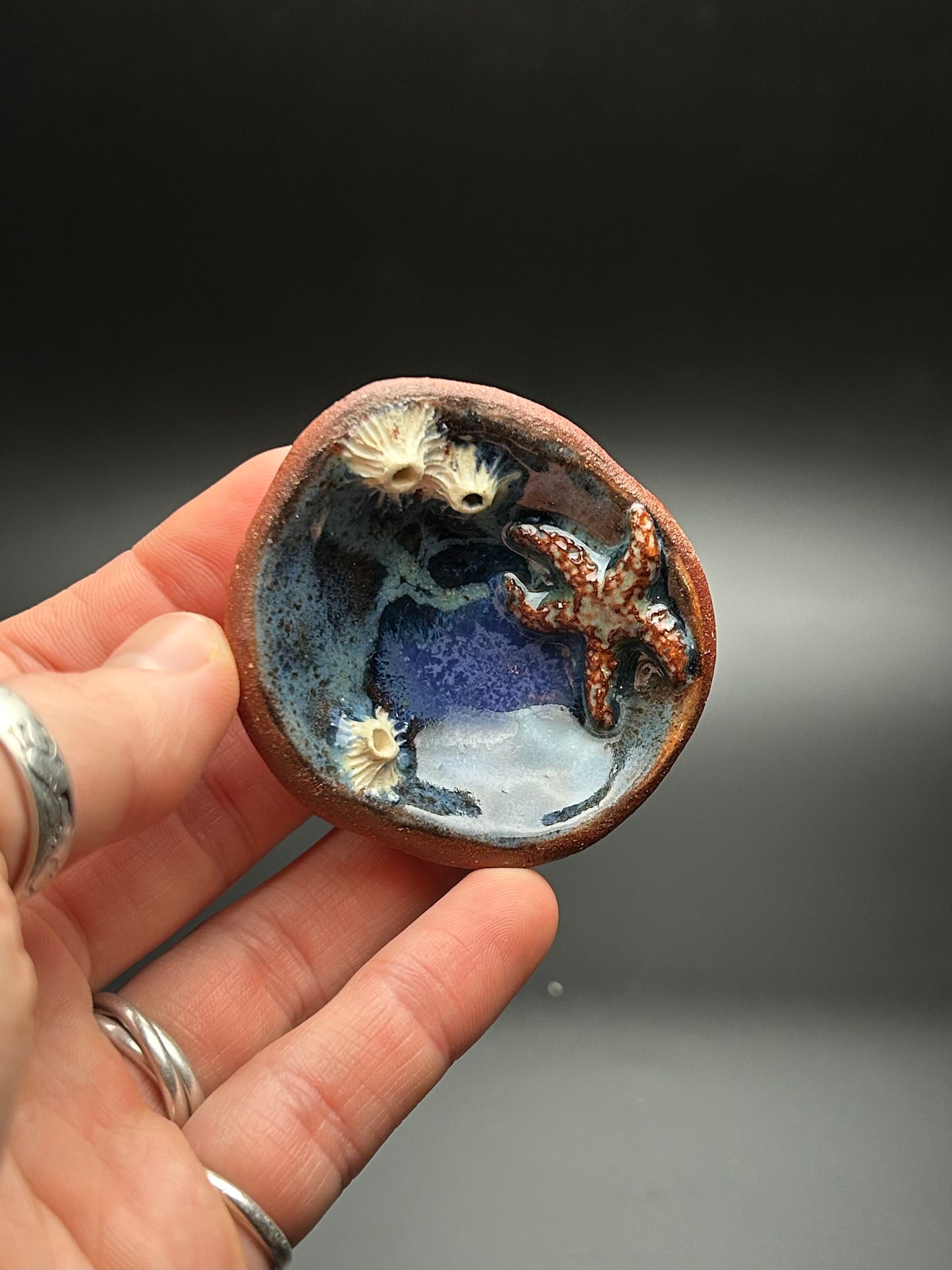 night swim tide pool trinket dish
