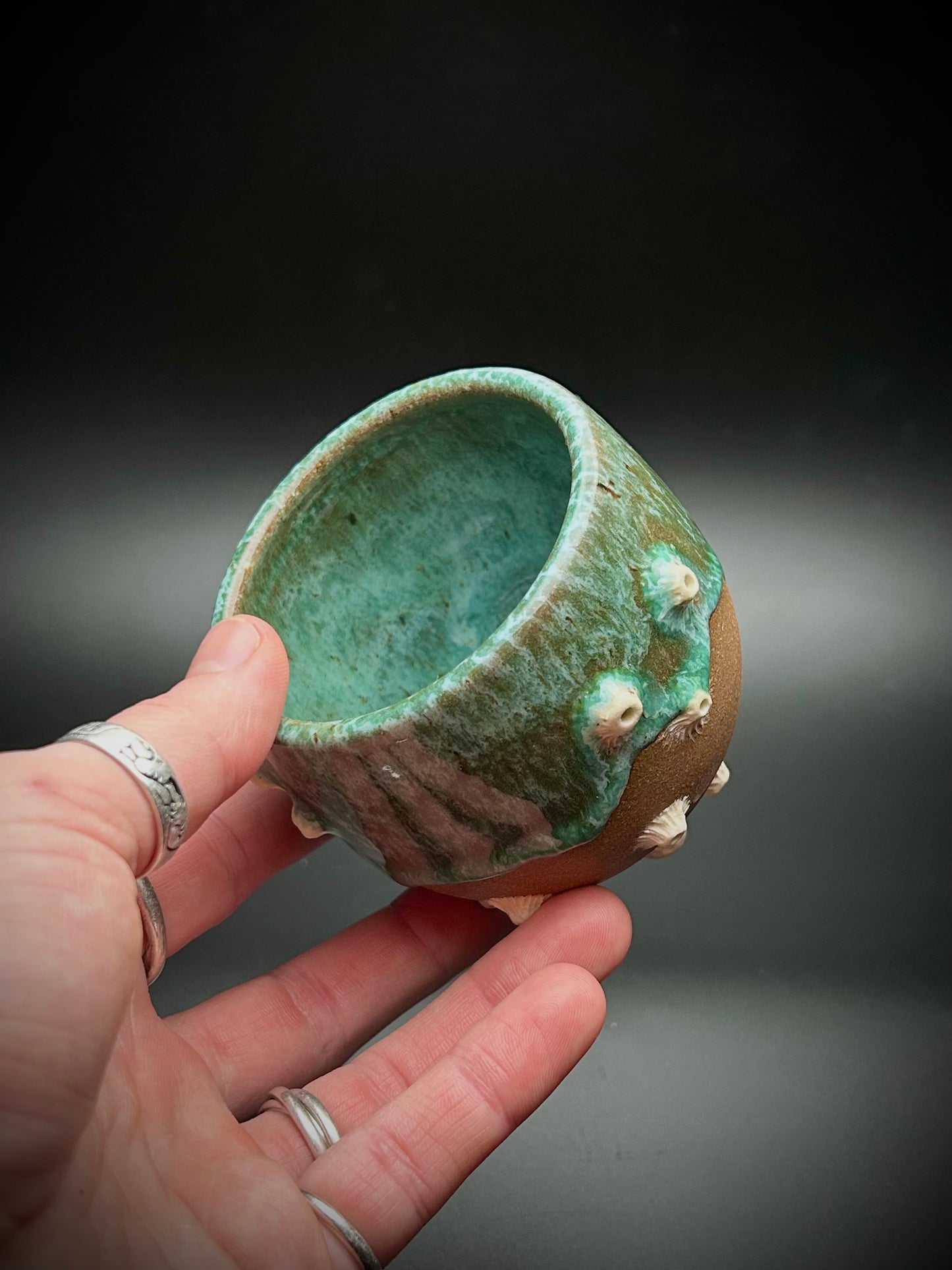 barnacle whiskey cup #1
