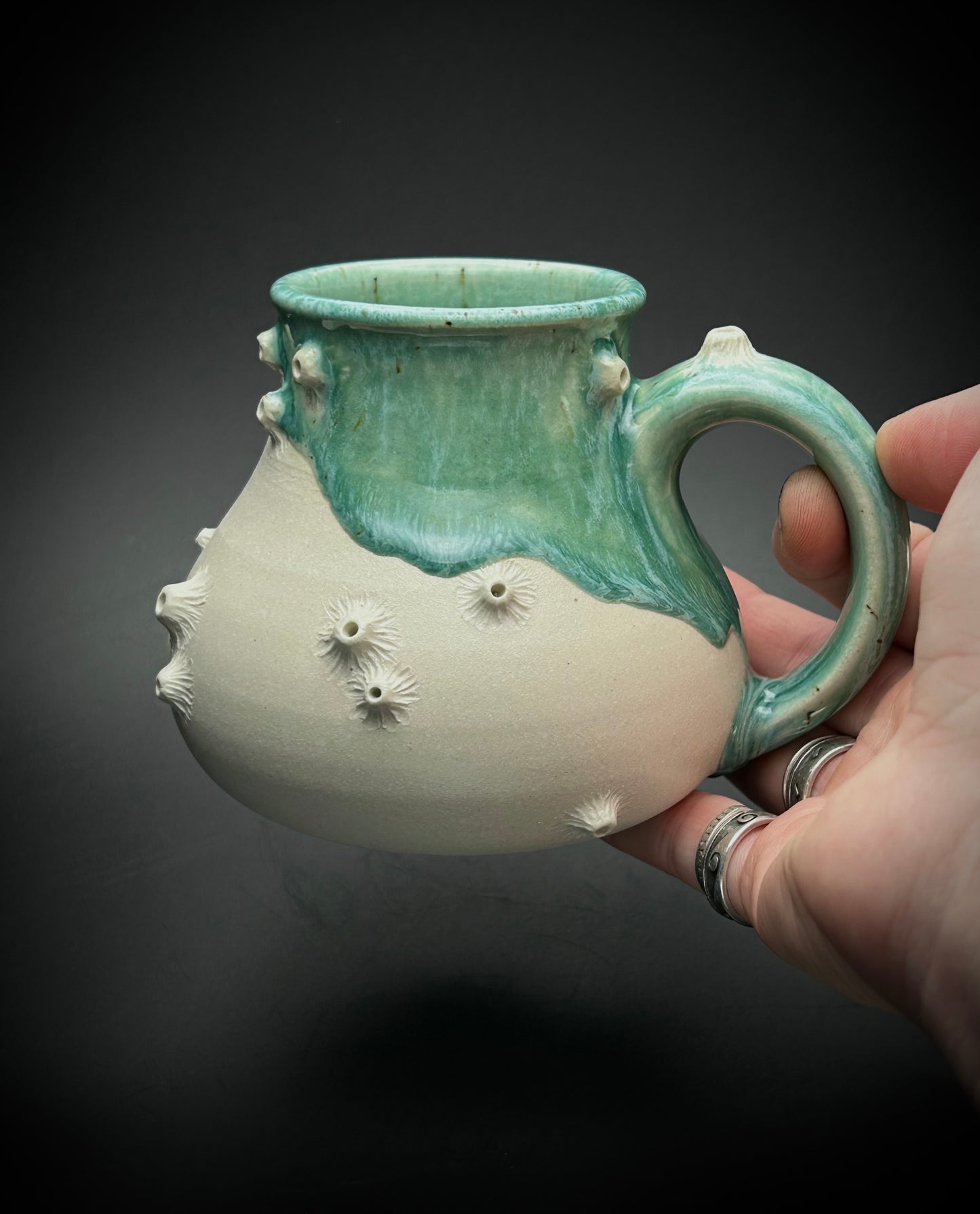 big bottom barnacle mug- the shallows