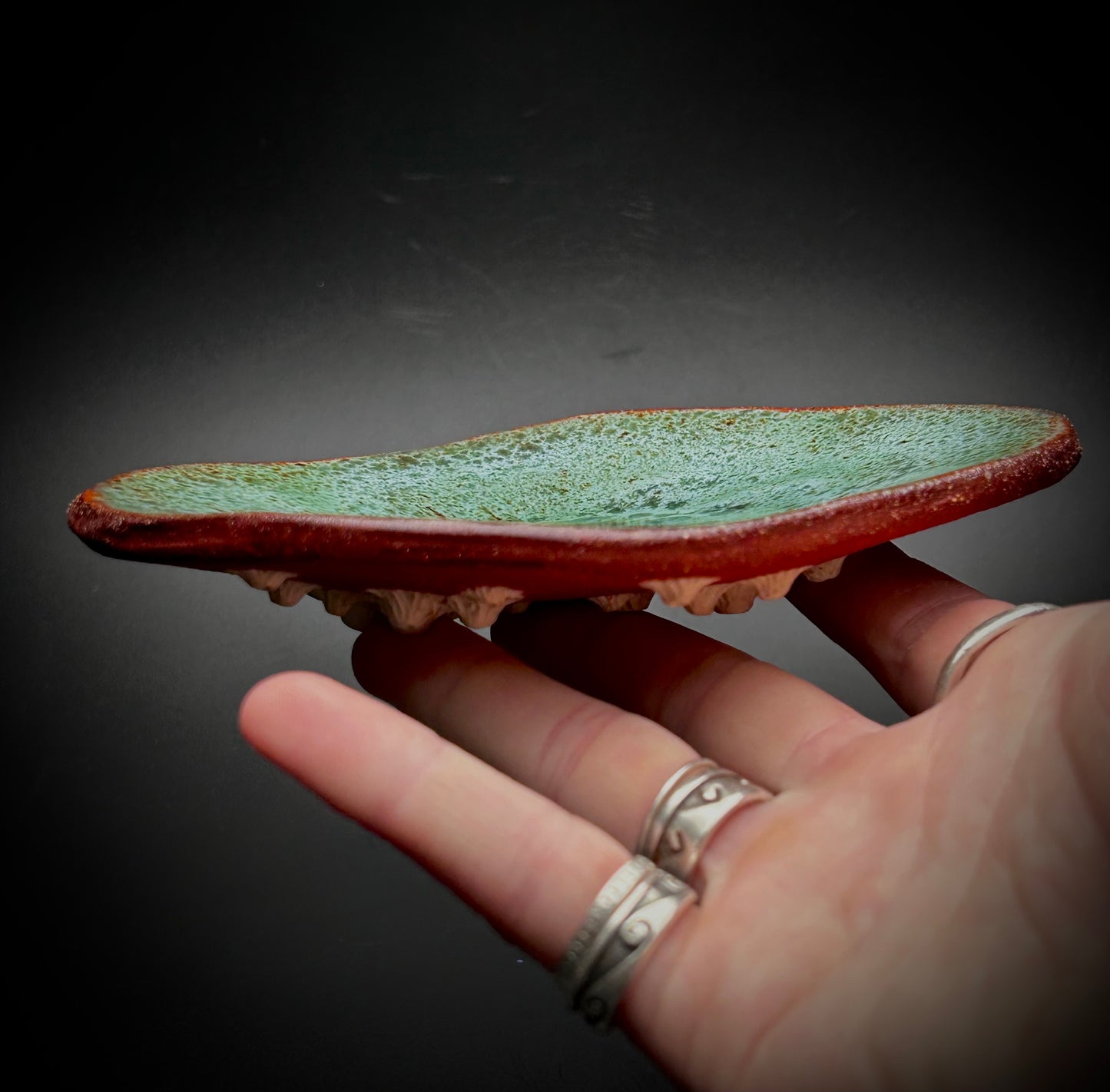 tidal mini plate