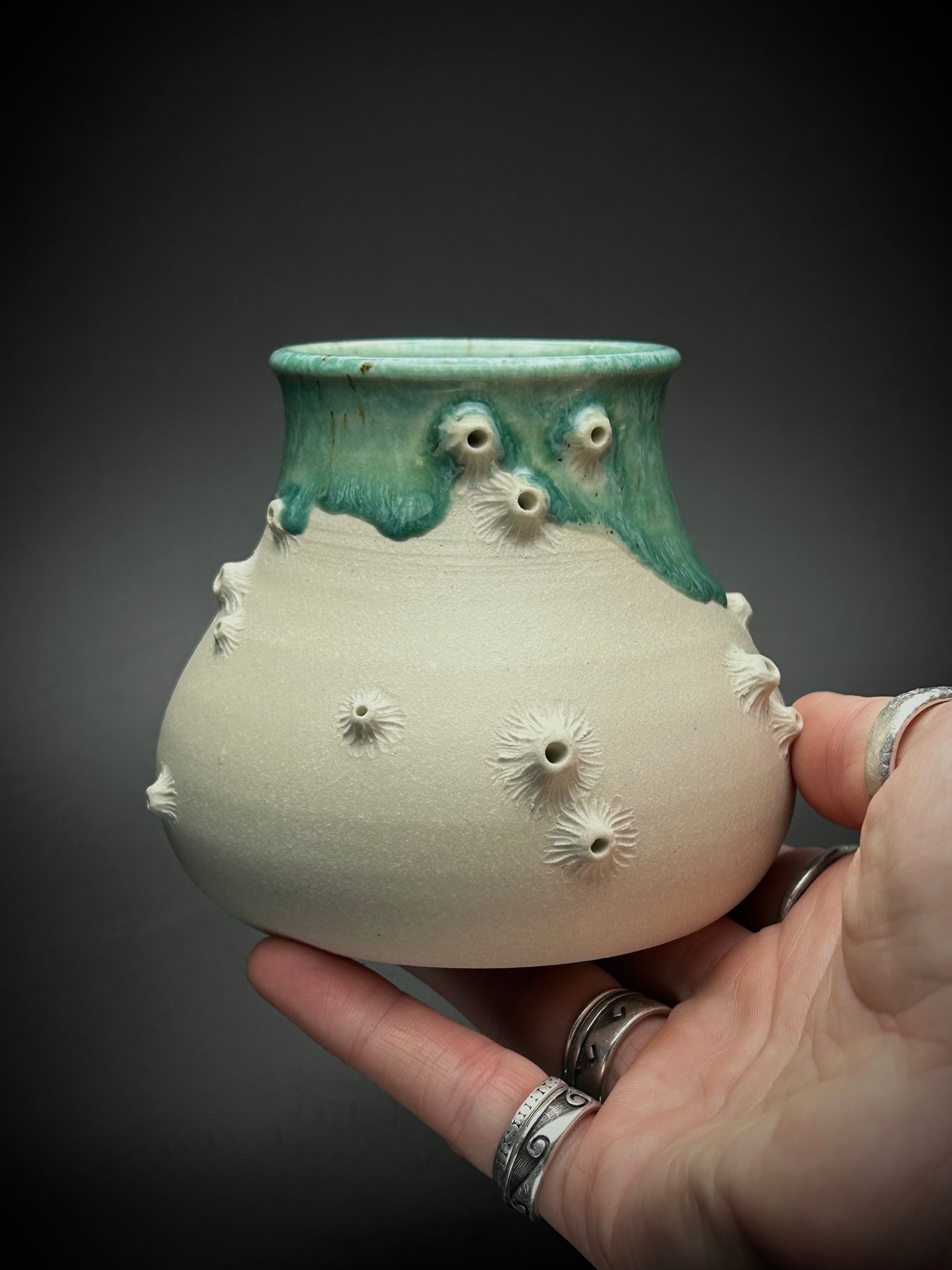 big bottom barnacle mug- the shallows