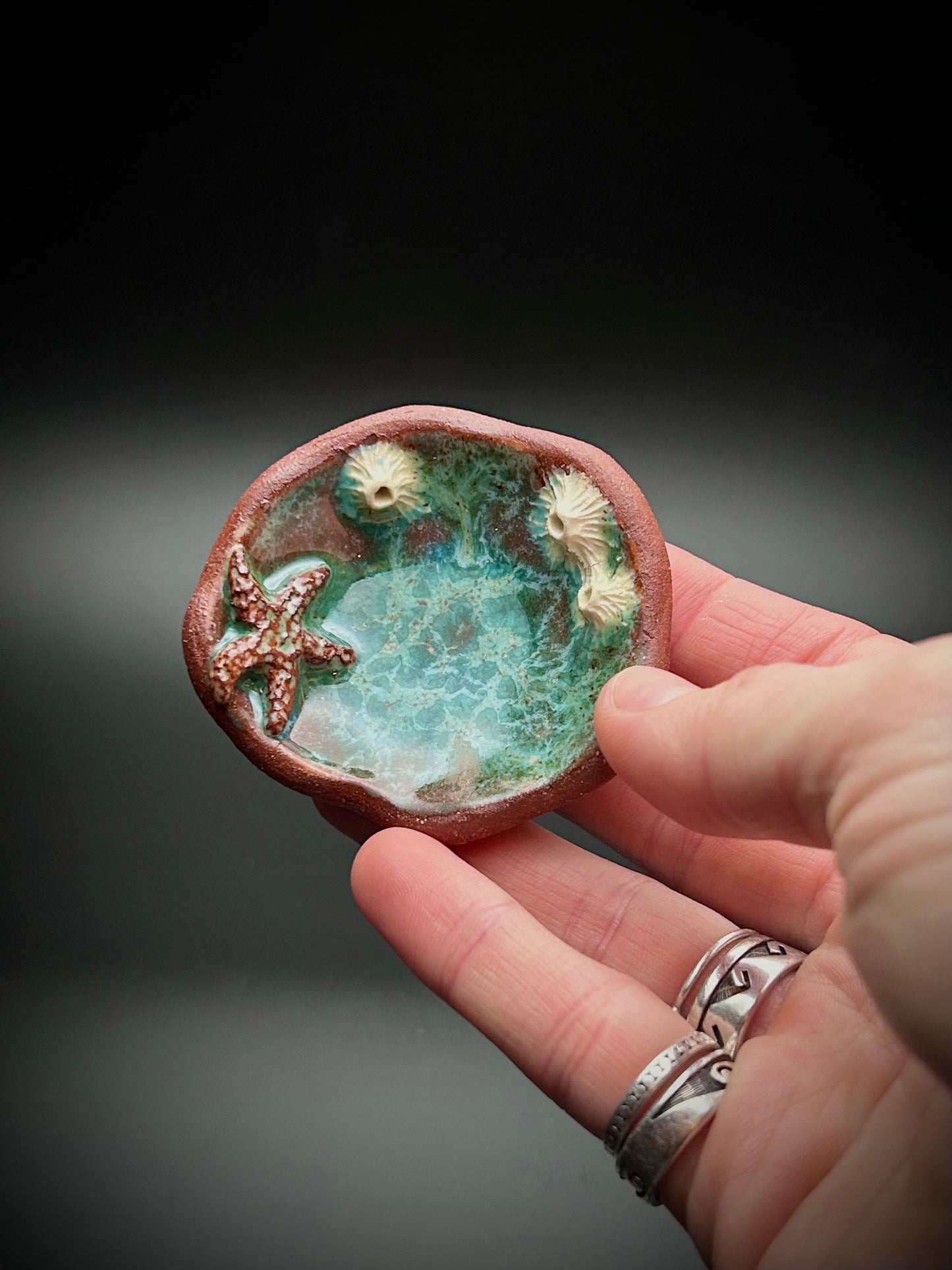 tide pool trinket dish