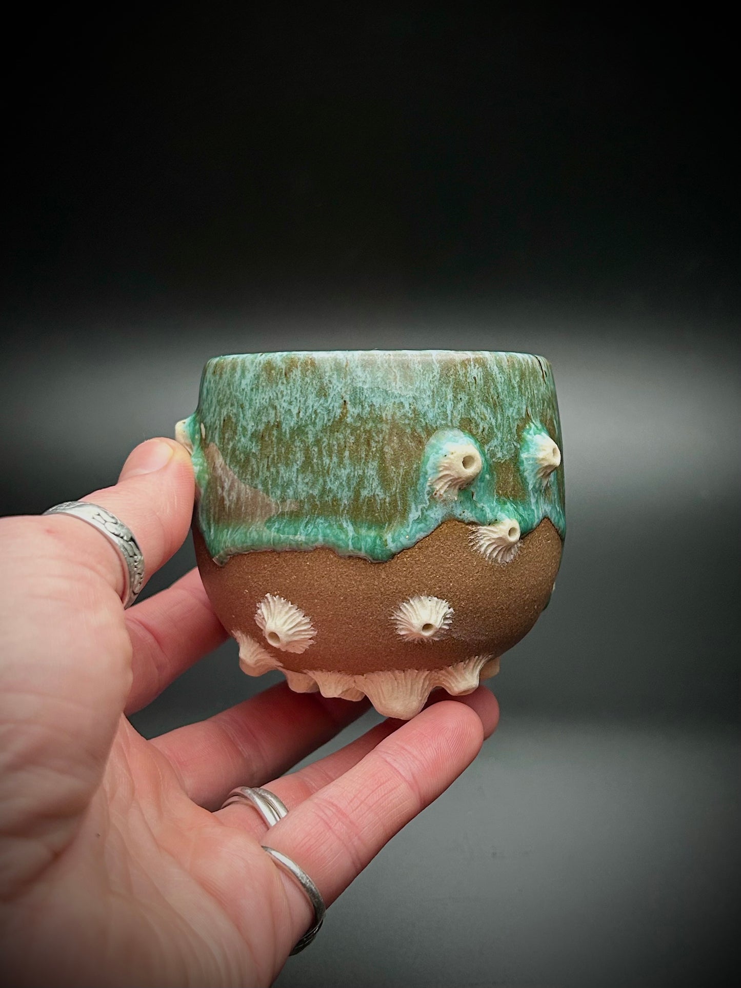 barnacle whiskey cup #1