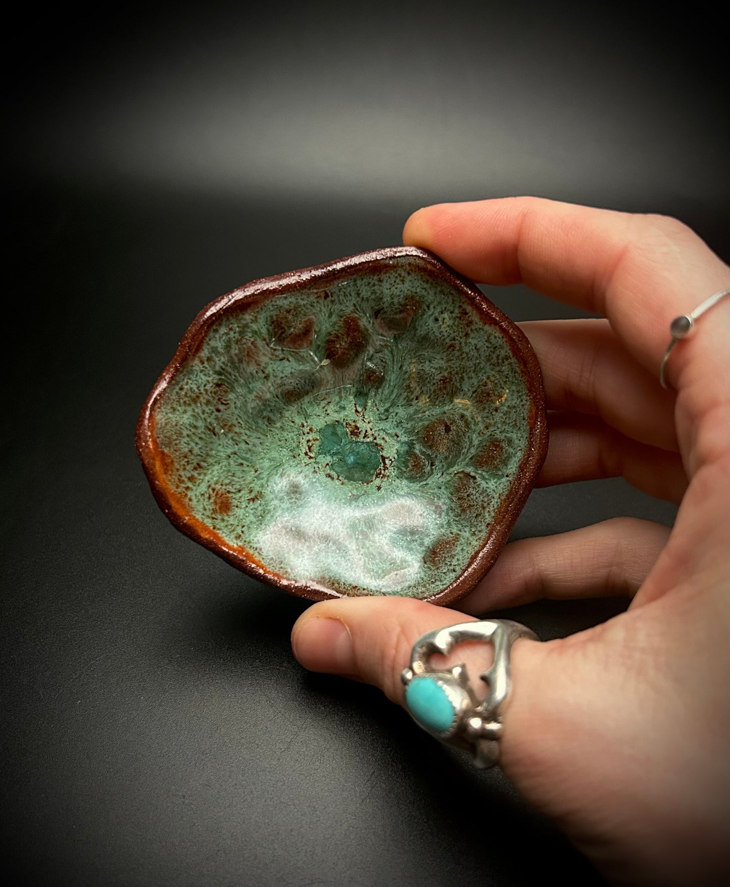 fossil dish #4