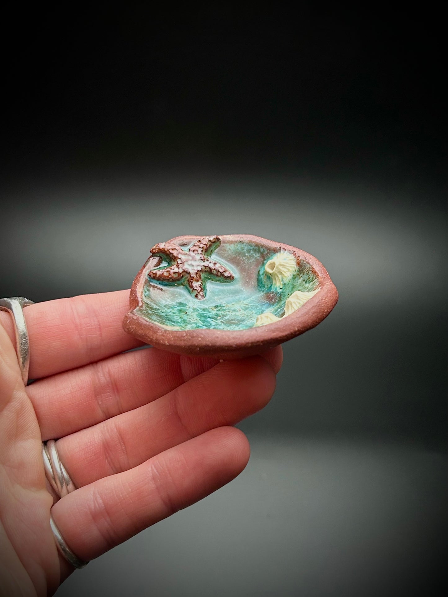 tide pool trinket dish