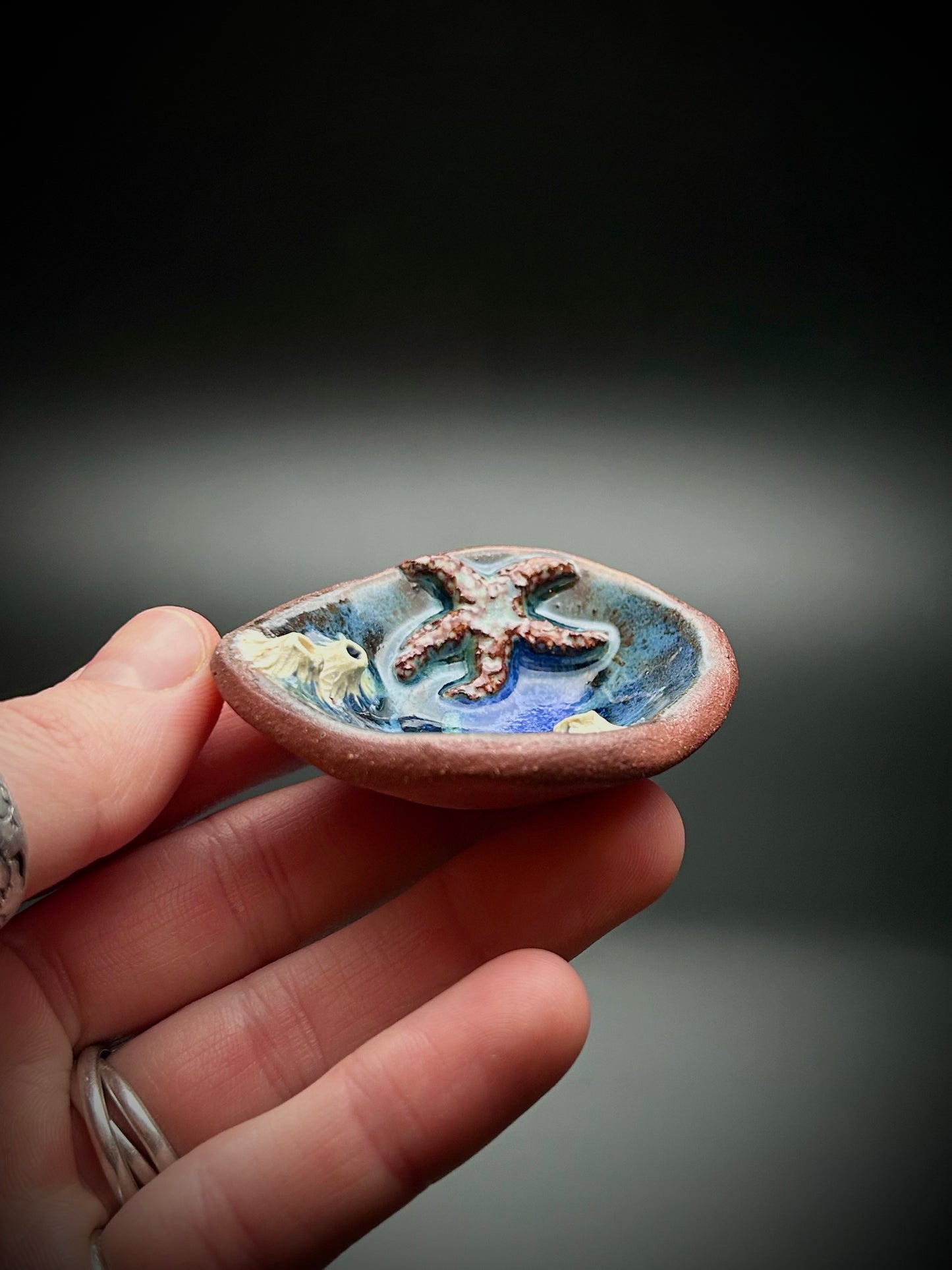 night swim tide pool trinket dish