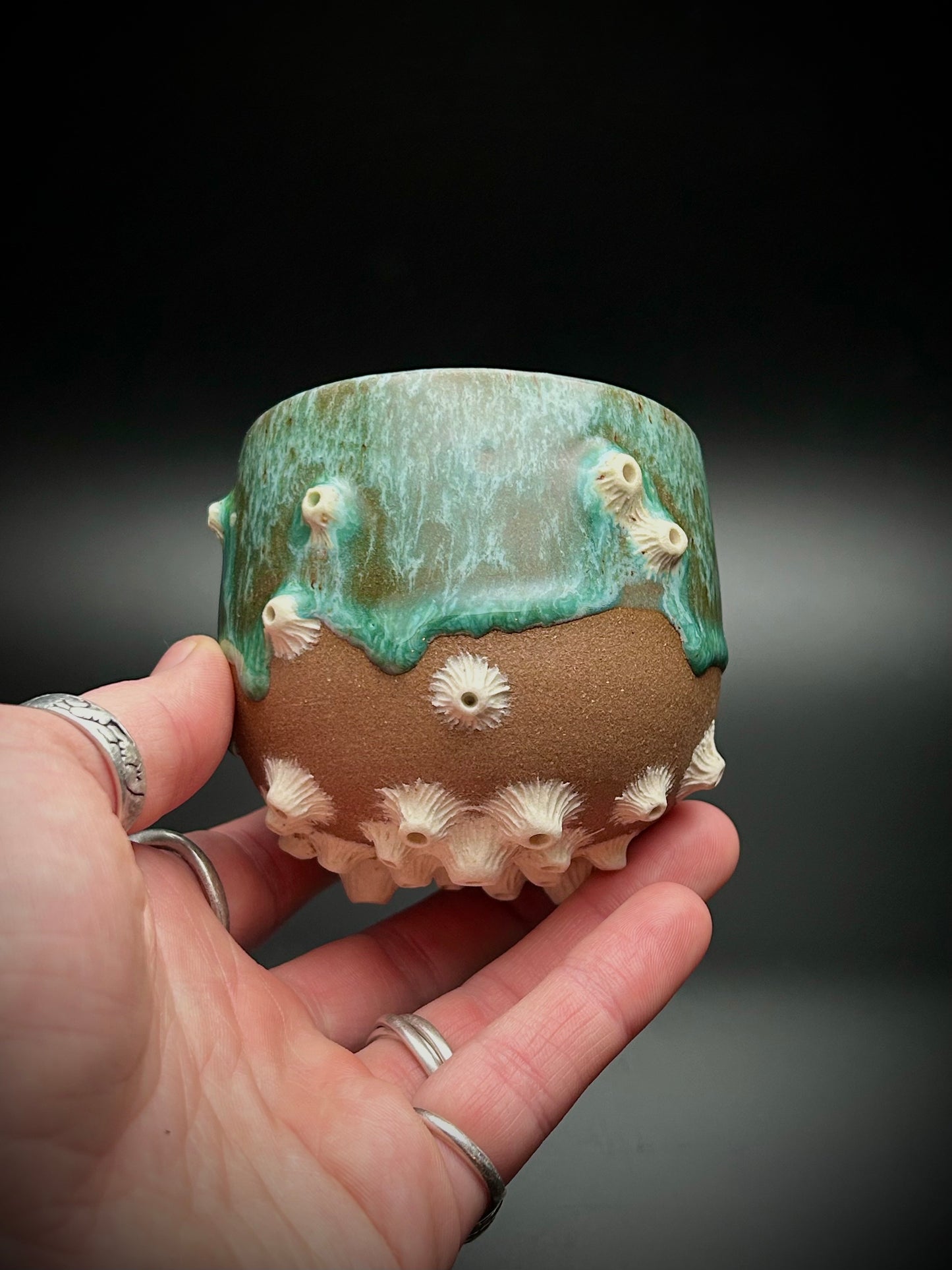 barnacle whiskey cup #1