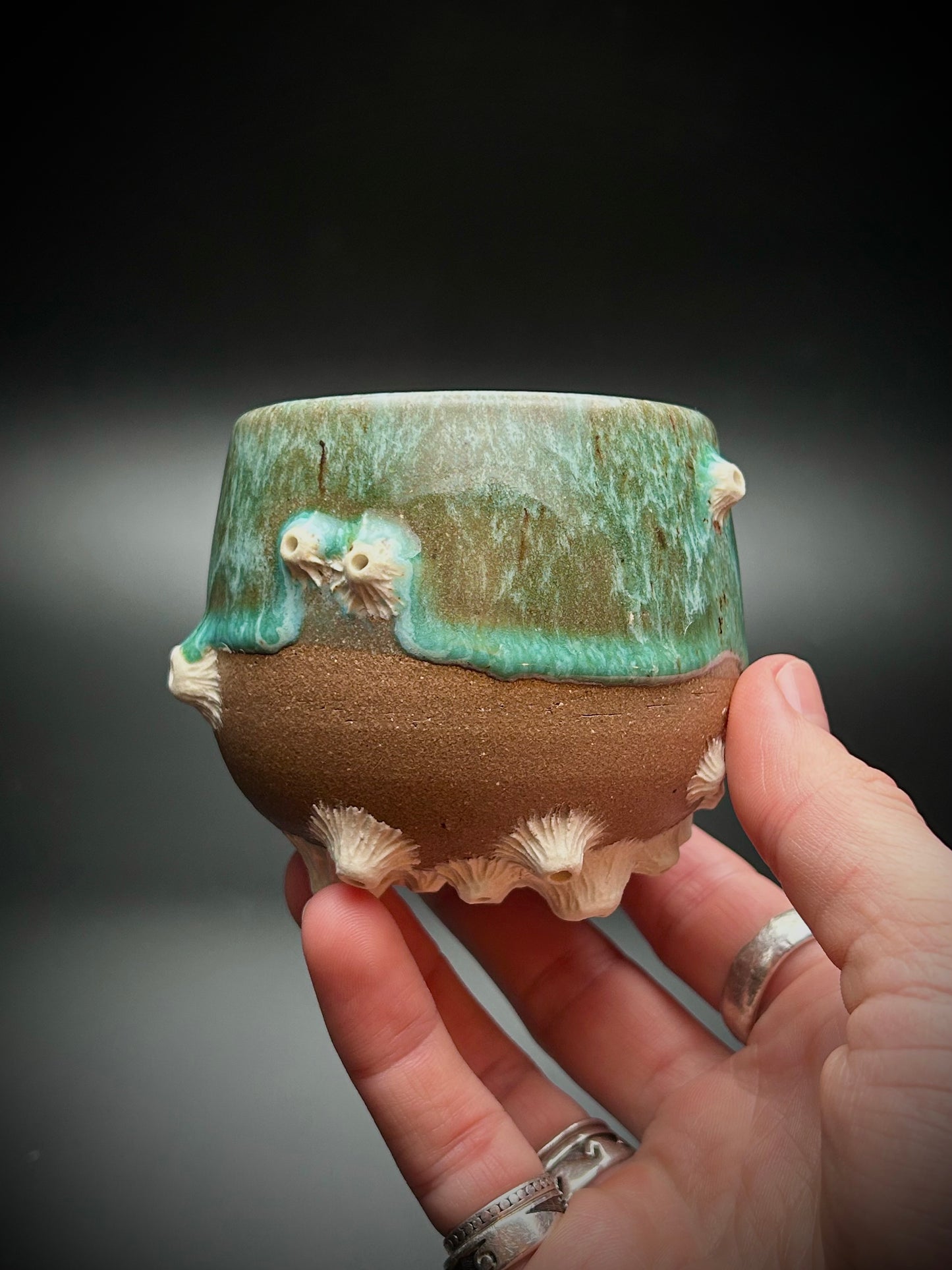barnacle whiskey cup #5