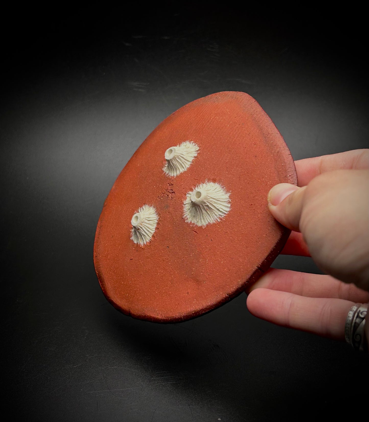 tidal pool mini plate