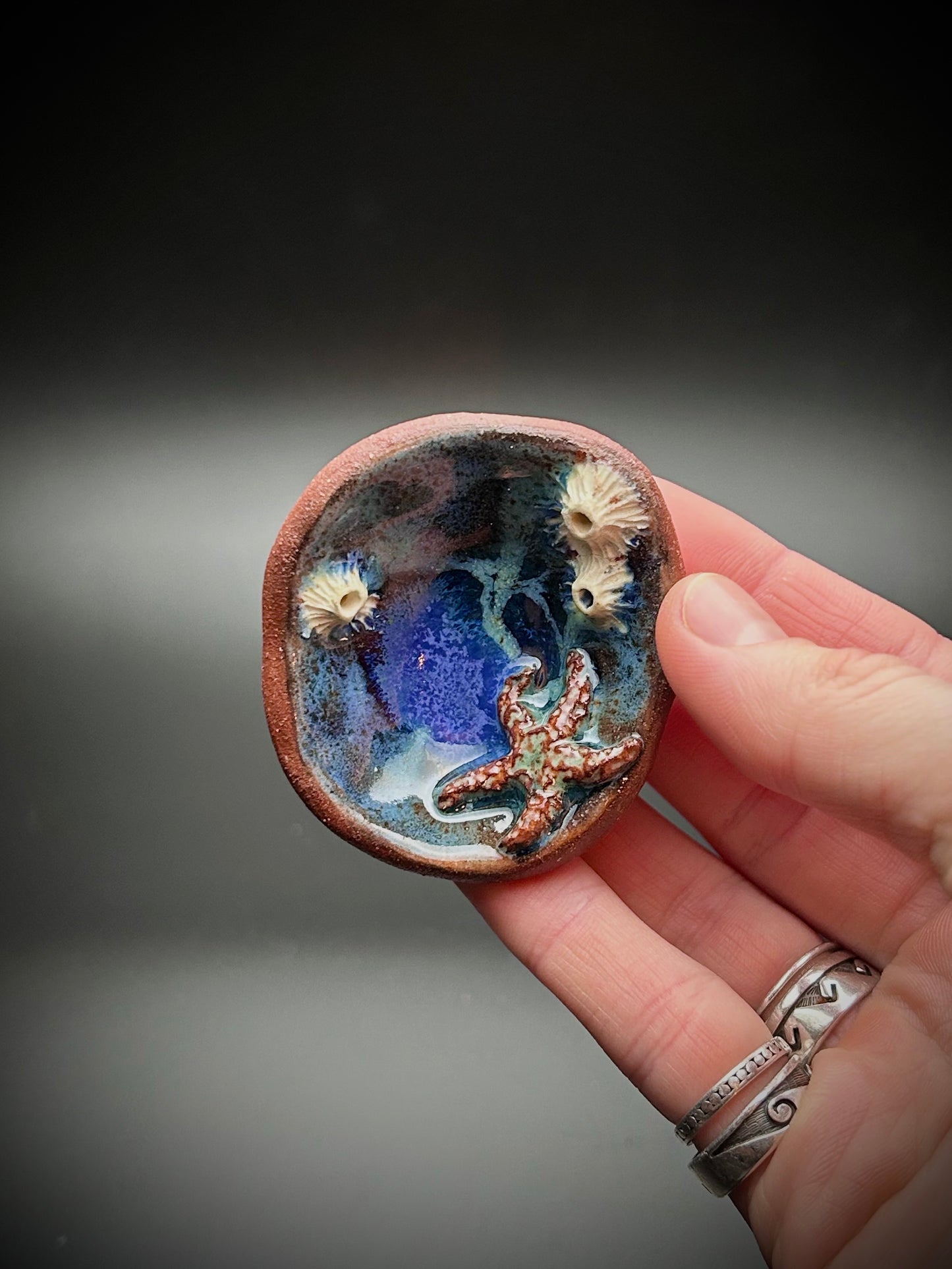 night swim tide pool trinket dish