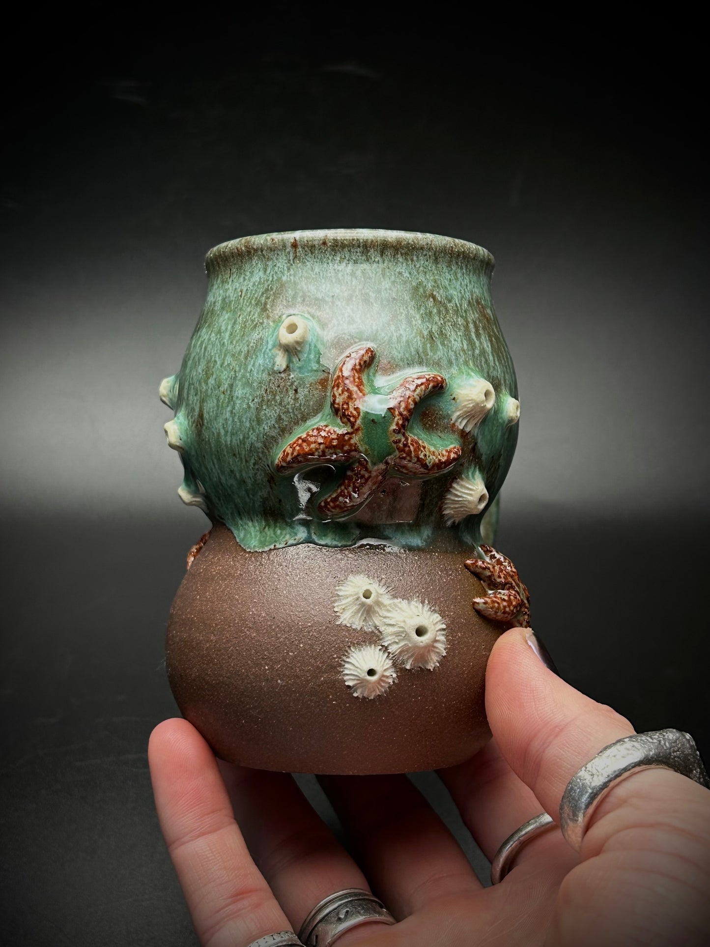 bodacious stella marina mug