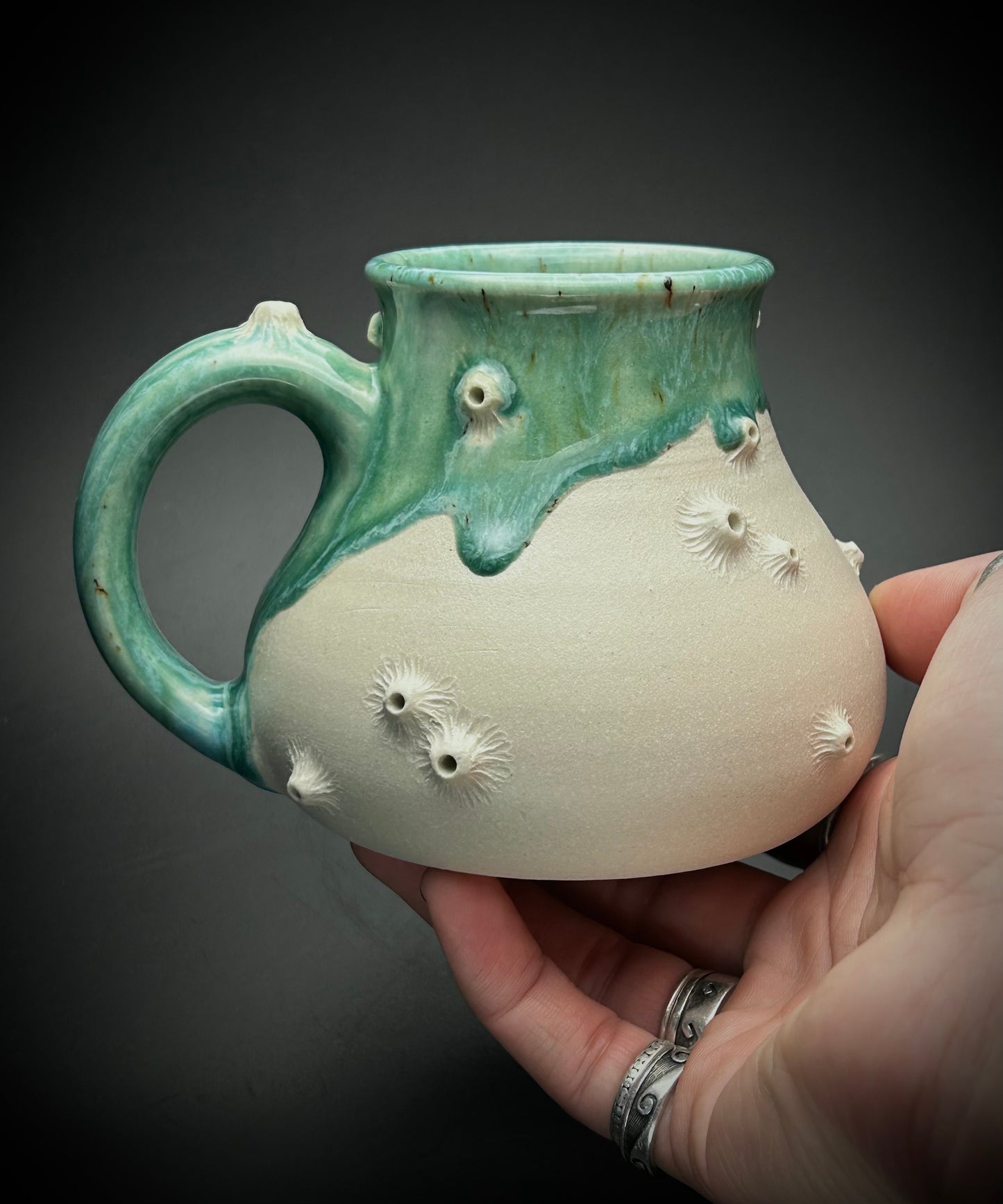 big bottom barnacle mug- the shallows