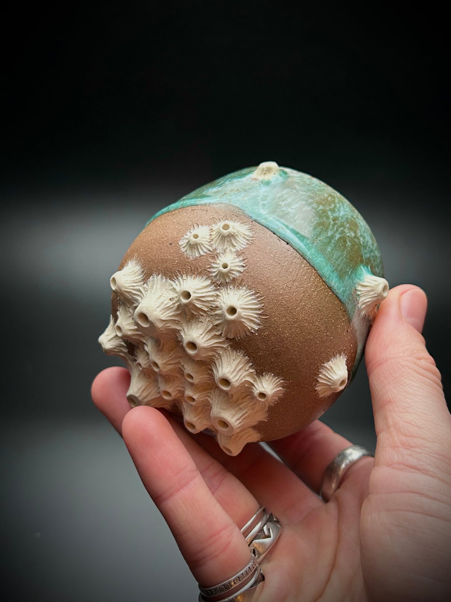 barnacle whiskey cup #5