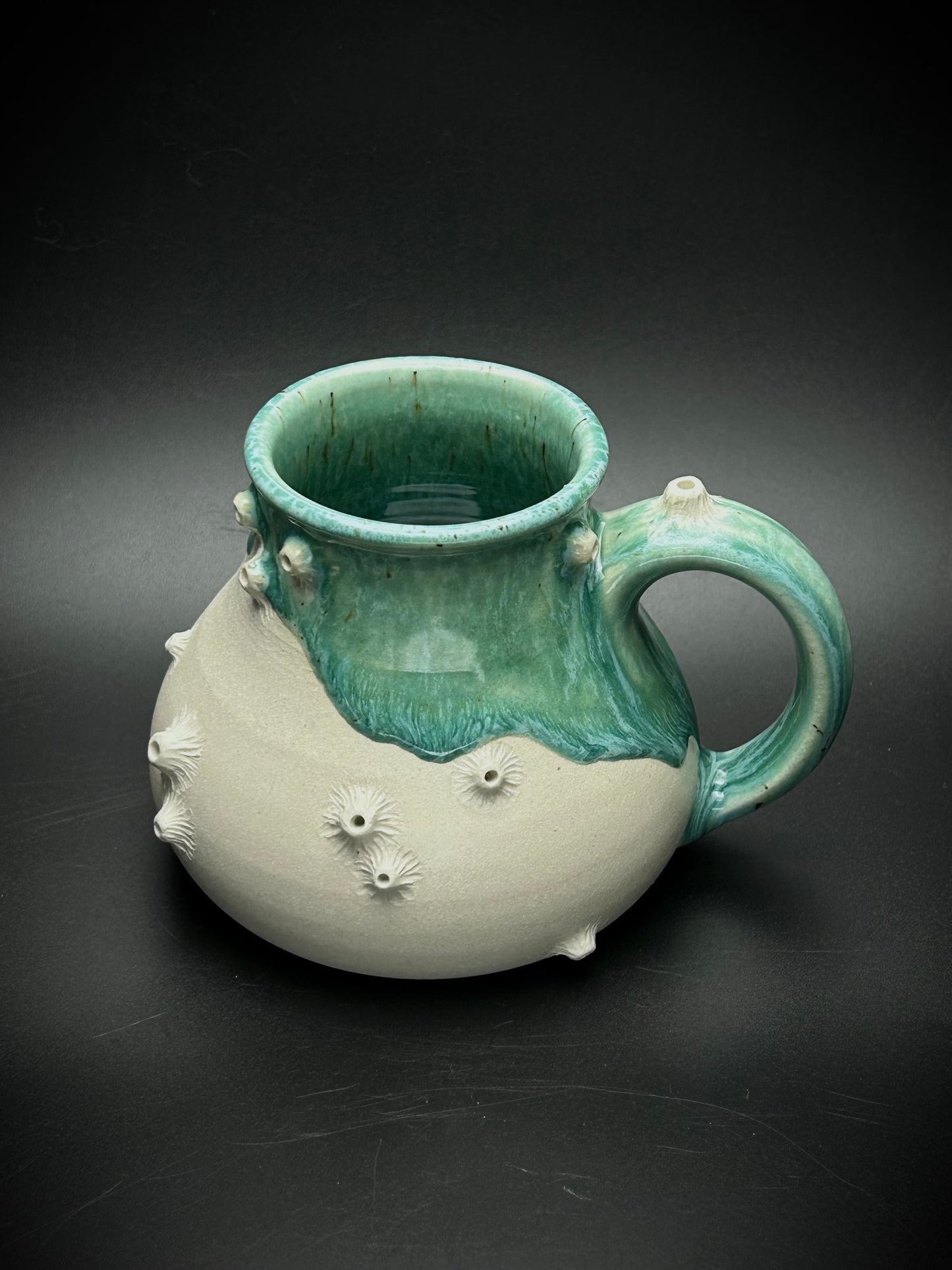 big bottom barnacle mug- the shallows