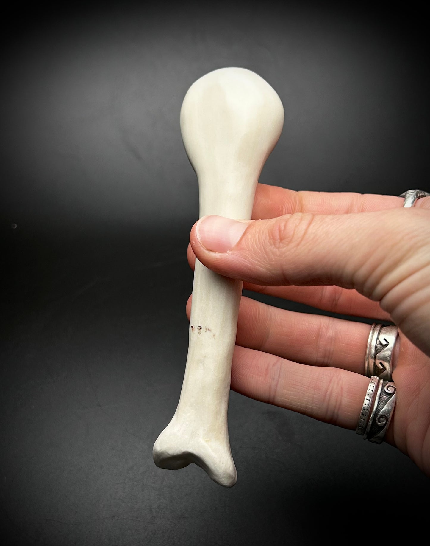 baby femur bone spoon