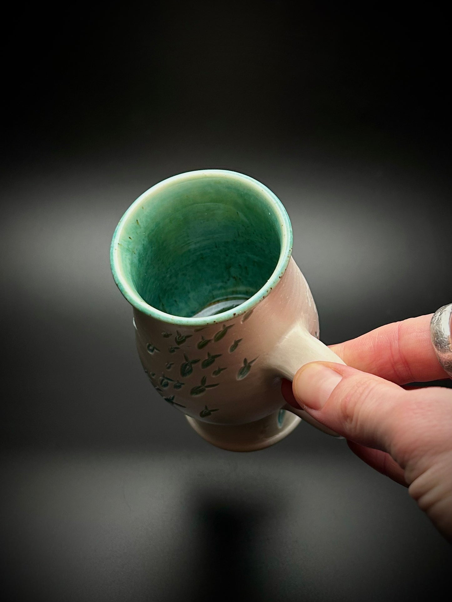 the queen’s bait ball mug- epipelagic zone