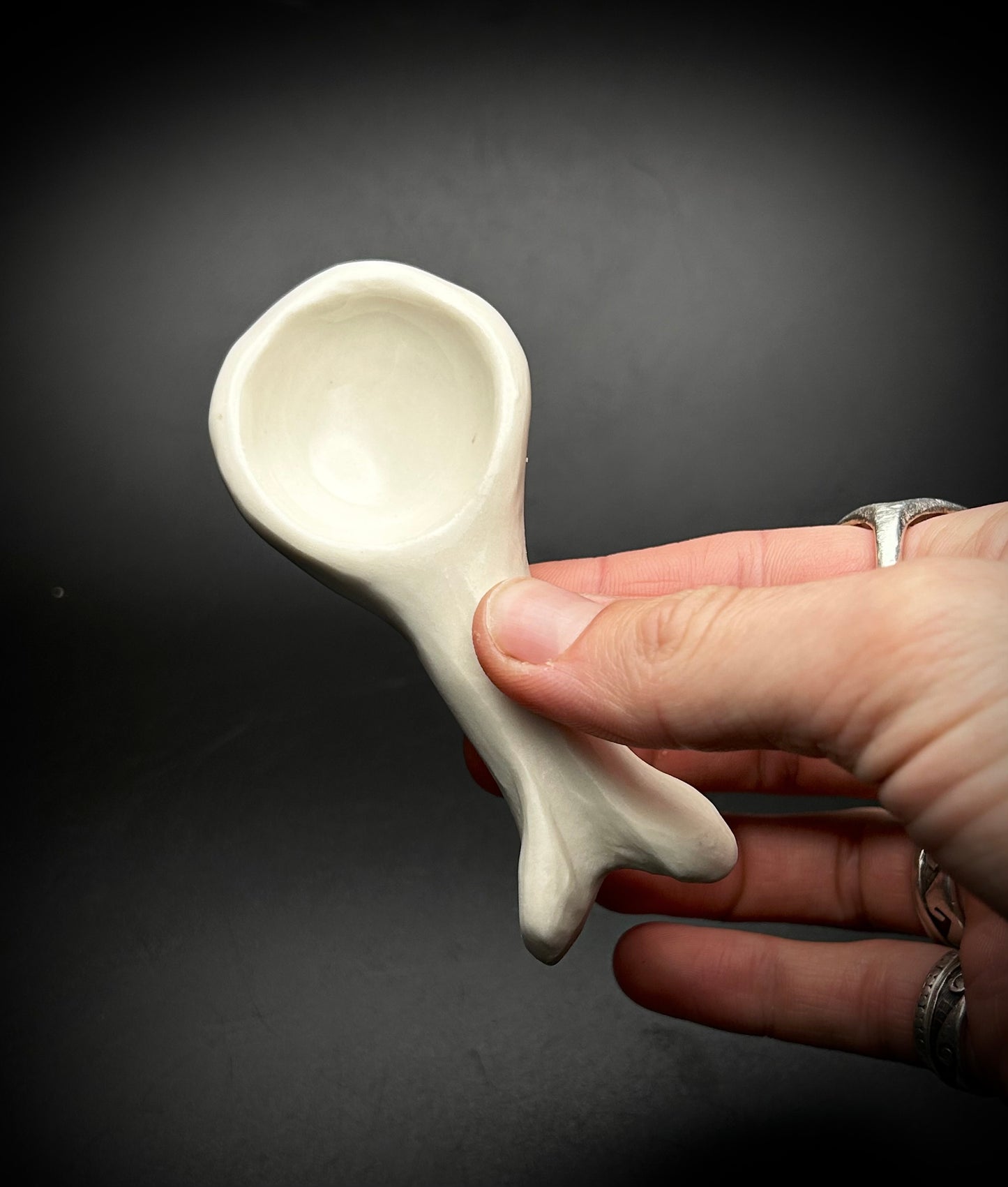 beefy femur bone spoon