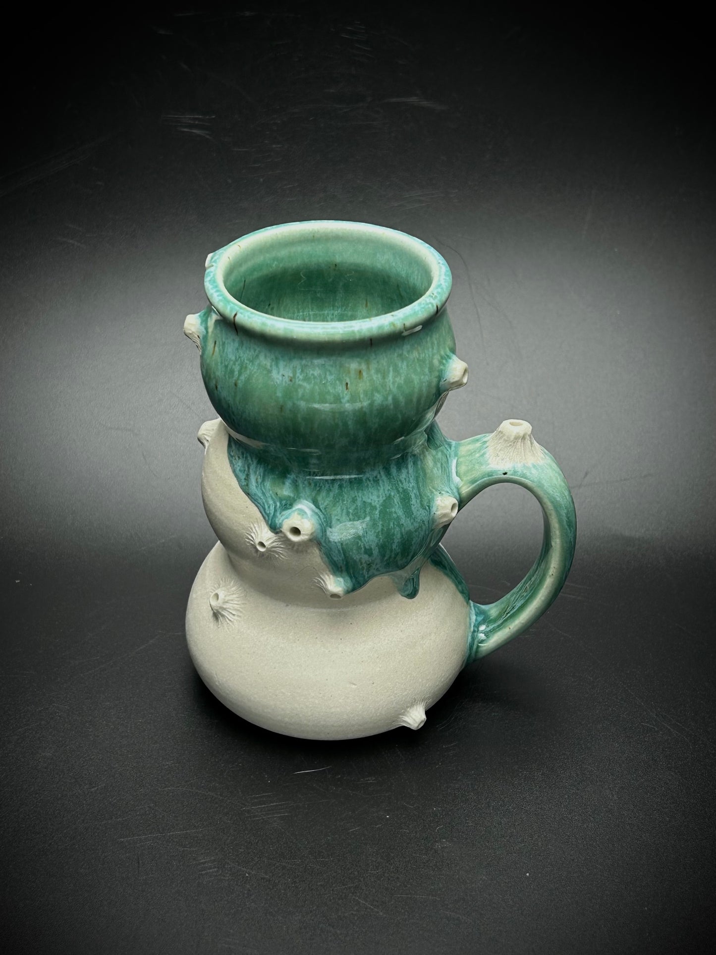 bulbous barnacle mug- the shallows