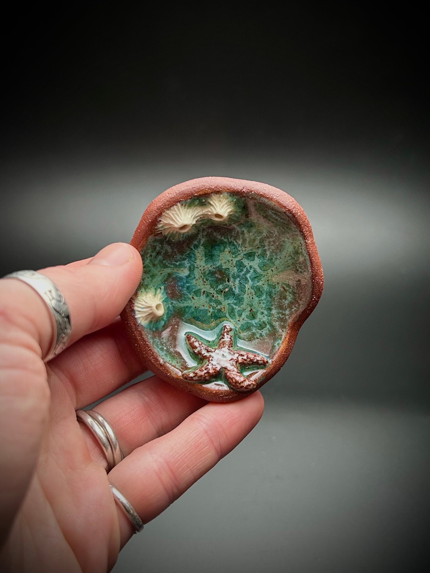 tide pool trinket dish