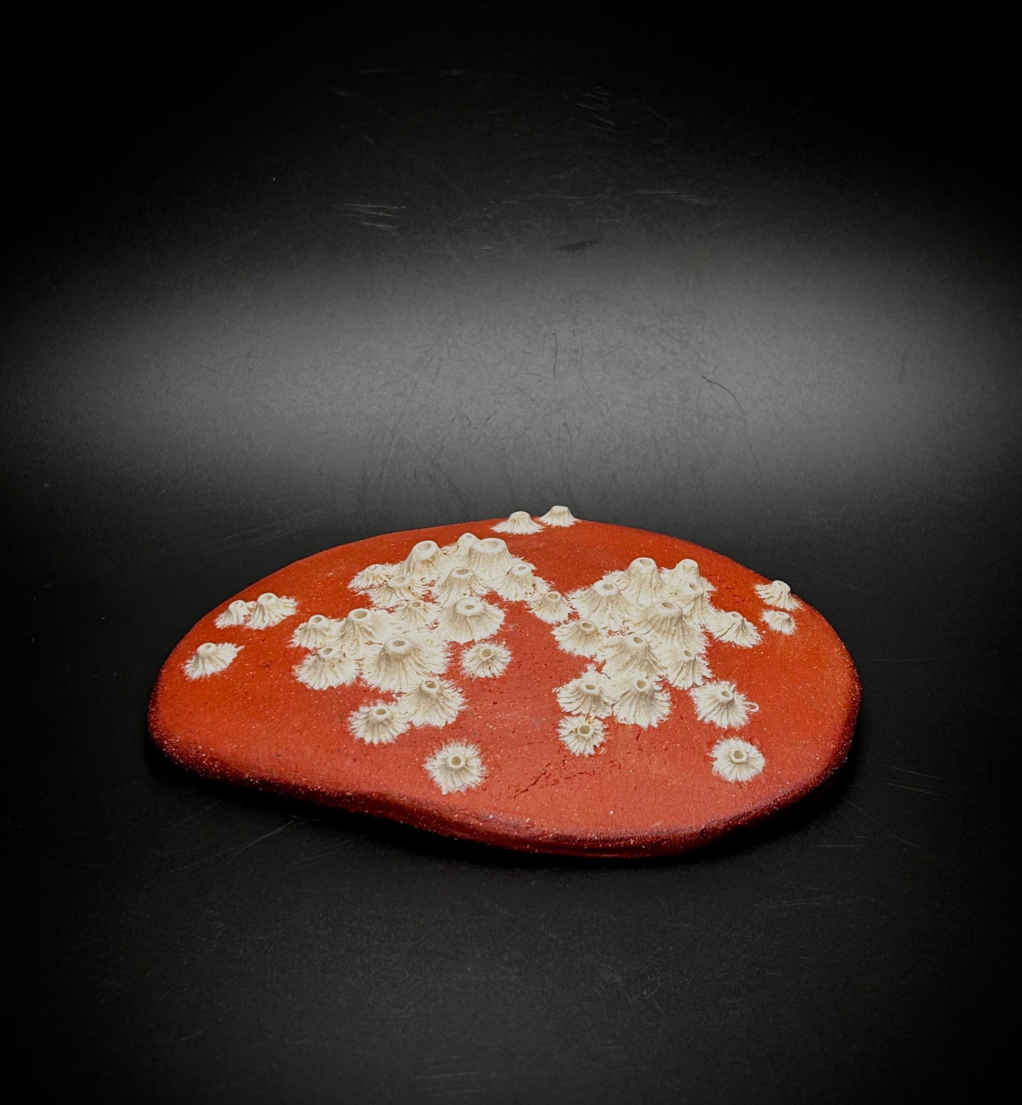 tidal mini plate